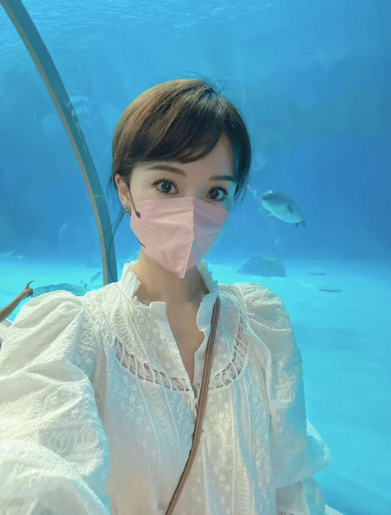 李念|阔太李念被疑整容！大眼迷人神似林志玲，嫁富豪融入香港上流圈