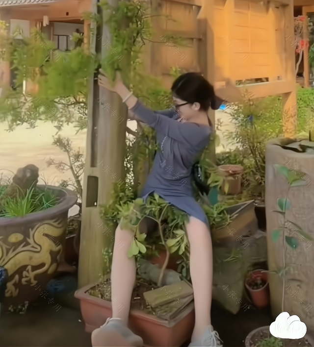 女子跟相亲对象去约会,不小心摔倒在盆栽上,网友:太尴尬了