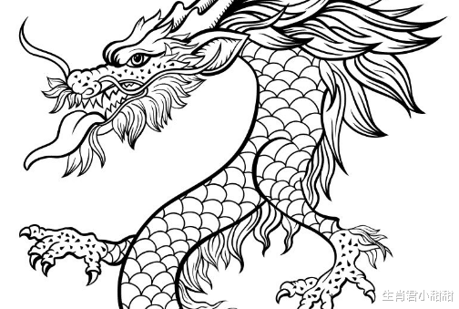 |事业上得到领导赏识，属龙人在职场闯出一片天，迎来好成绩