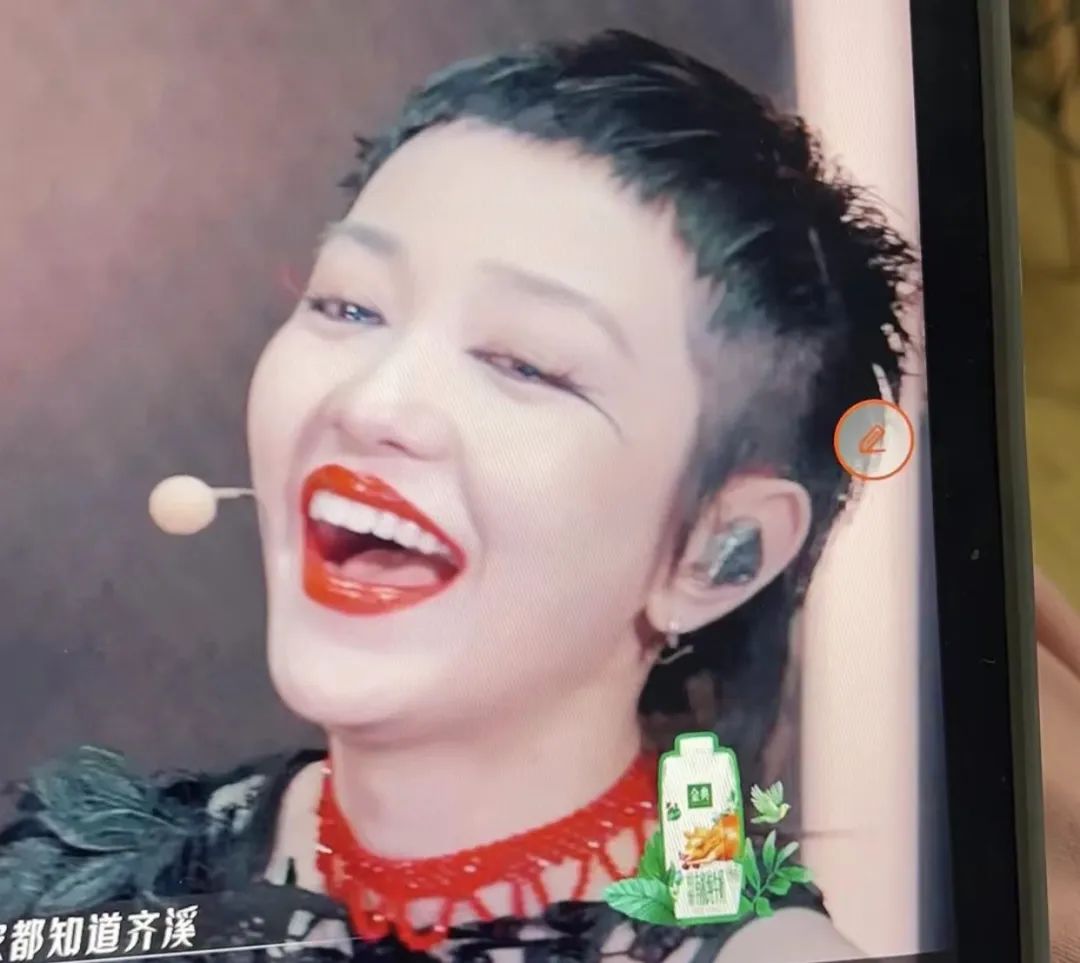 乘风破浪的姐姐 浪姐服装丑出新高度！豹纹裤，花皮草…造型师你没事吧