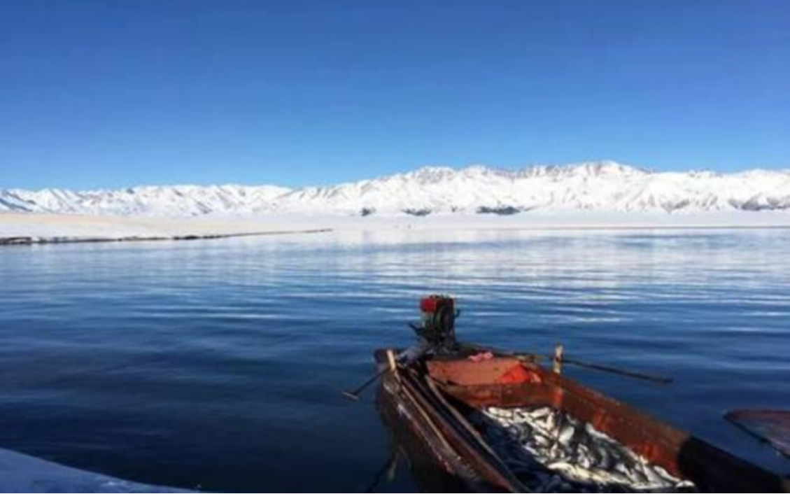 呼伦贝尔|新疆沙漠遍布，为何能成为渔业大省？鱼是从哪里来的？