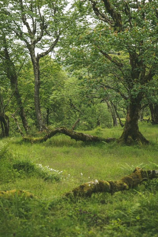 |别再喊热了!这个被央视疯狂点赞的避暑秘境,18℃!爆凉快!