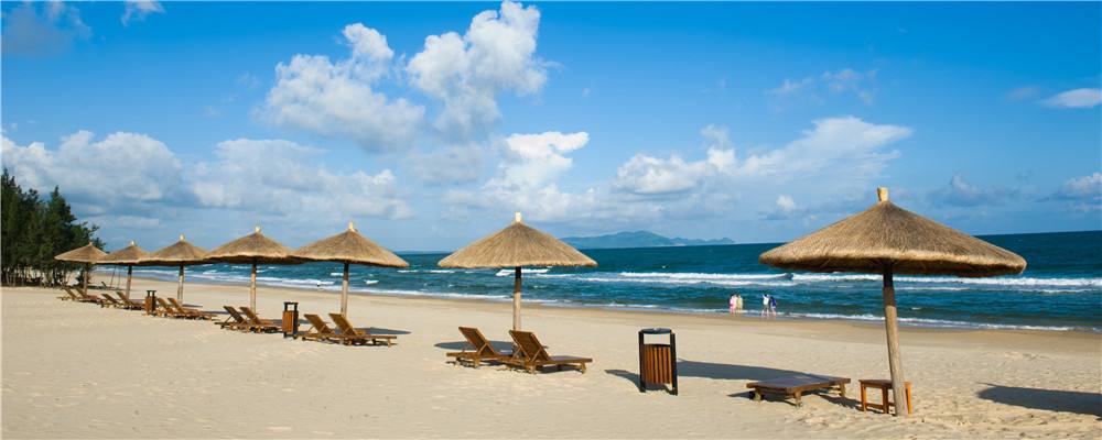 红豆杉|想去海边玩,来陵水看看吧。