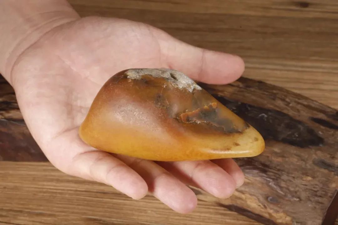 植树节|什么皮色下出好肉？你知道吗？