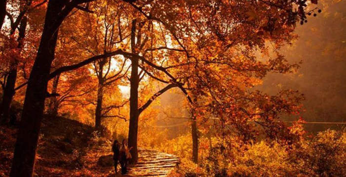 摄像头|这几处适合秋季游玩的地方，可以让你观赏到最美的秋色