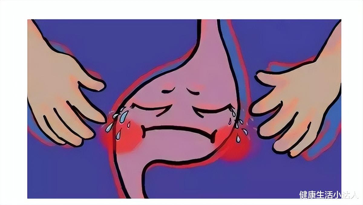 胃黏膜|入冬前,养好胃:日常少做3件事,少吃4种食物,胃会感激你