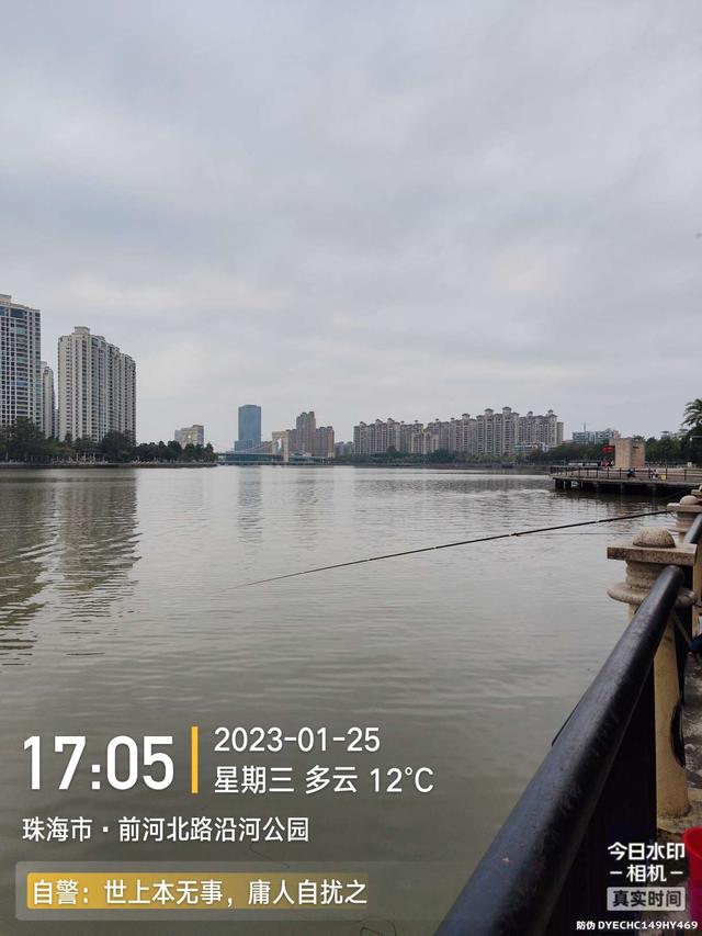 鳊鱼|小鱼群里的巨物，钓友这次超威武