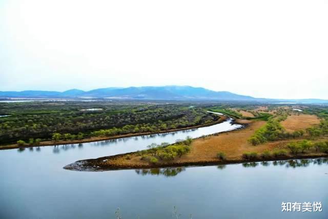 黑龙江|国内值得去的六大沼泽湿地,每个都美得与众不同,你去过几个呢?