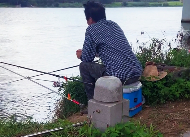 李大毛|这钓友还真淡定,换别人早吓跑了,估计李大毛看到也自叹不如