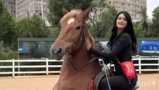 云南女孩“马术”精湛过人,驾驭各种战马,网友:骑马界的天花板!
