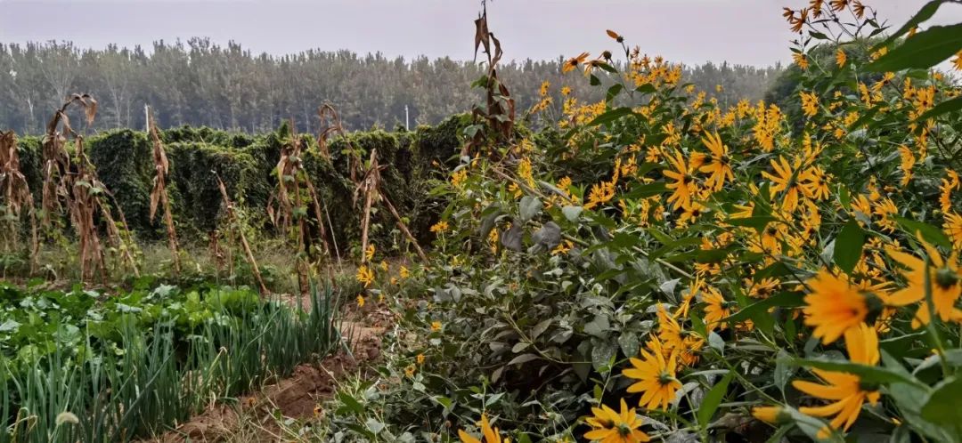 张颂文|打败钟汉良，力压秦昊，出道20年买不起房住农村：恭喜，他终于红了！