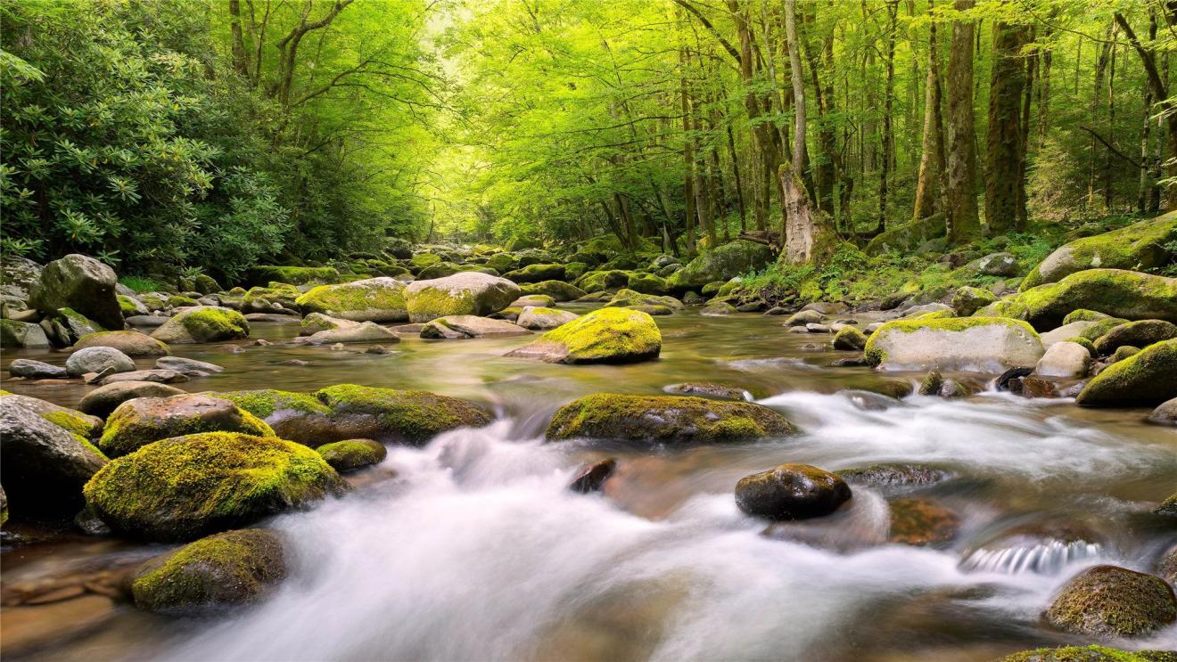|能力强而没关系，没背景没能力的三个职场常识，大家都要了解一下