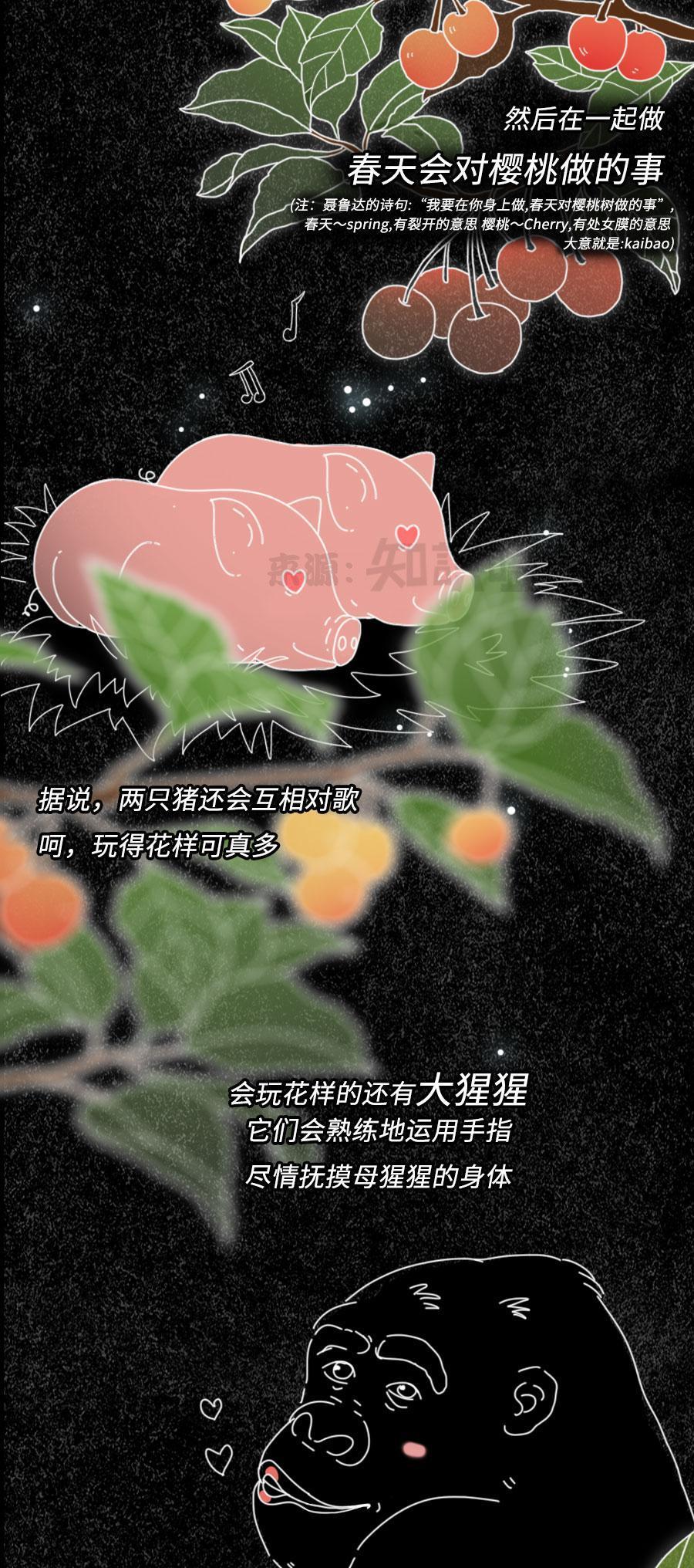 一组漫画揭开:动物“奇特”的求偶方式,真的太浪漫了