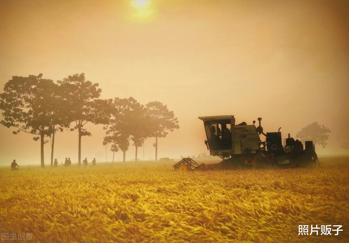 优秀的手机摄影作品,都有这5大特征!你有几个?