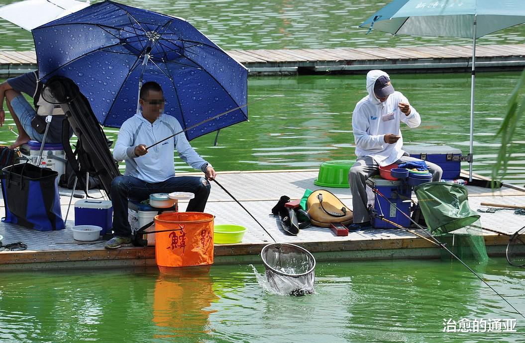 浙江省|一年不钓鱼,能省下一辆车!浙江女子谈丈夫钓鱼的花销
