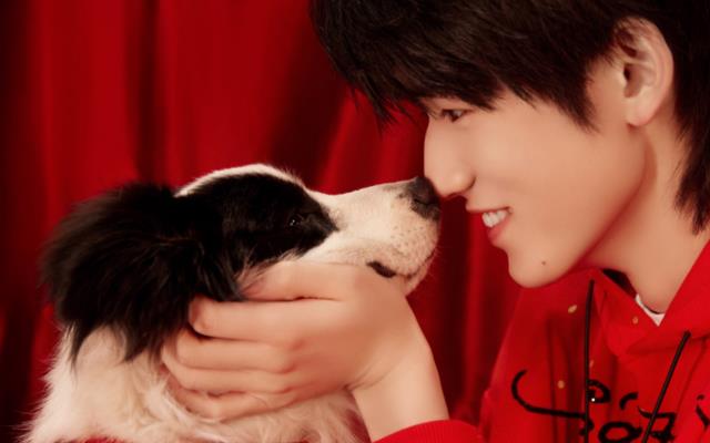 前任3再见前任|理智追星不存在,不过疯狂到炫耀脸贴偶像屁股,这太过分了吧?