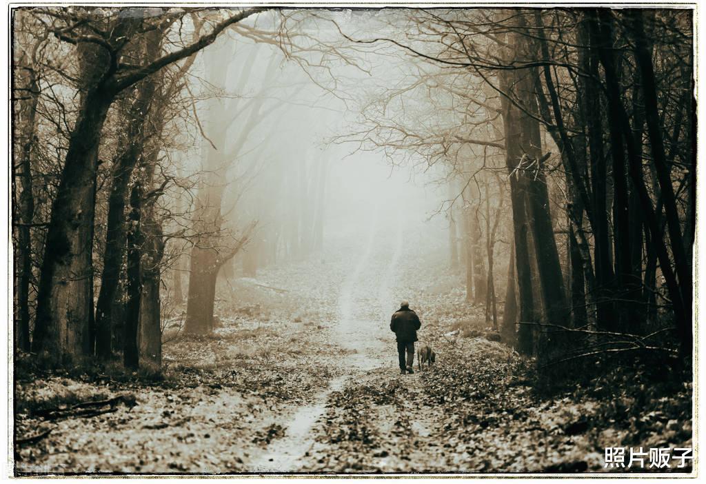 学会这9个实用的摄影构图,不要再说你不会拍照!