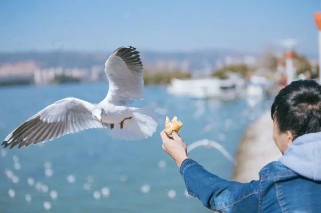 |中国最美的100个地方，你去过几个？