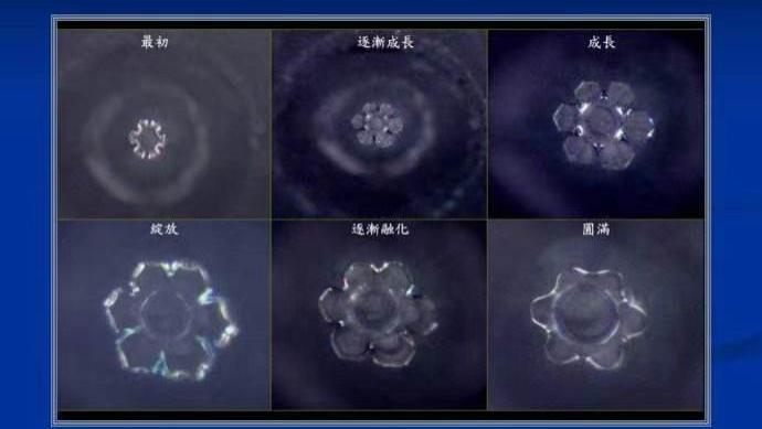 石头里面有水分吗？