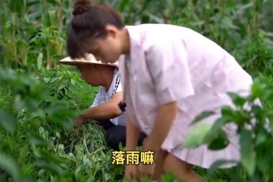 毛晓彤|网红严素玩擦边? 当着父亲面穿JK短裙抓鸡, 网友: 离被封不远了