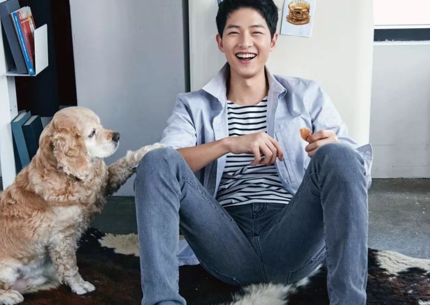 宋仲基|宋仲基晒日常照，绿帽子成焦点，颜值回升新剧正在拍摄中