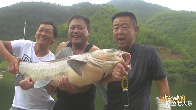 李大毛|他是游钓大师，一年钓鱼300多天耗万斤窝料，被称垂钓打窝第一人