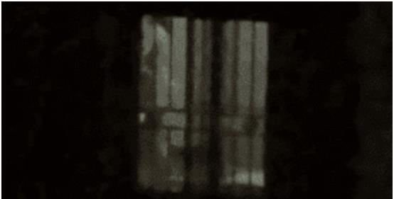 3女租客不穿衣服不拉窗帘，遭房东和邻居投诉，女孩解释：屋太热