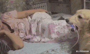 |“想让沉迷游戏的老婆去上班,该怎么劝?”神点评绝了...