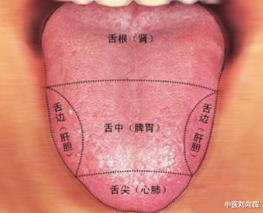 医生|结节、痰多？一个化痰散结的古方收好