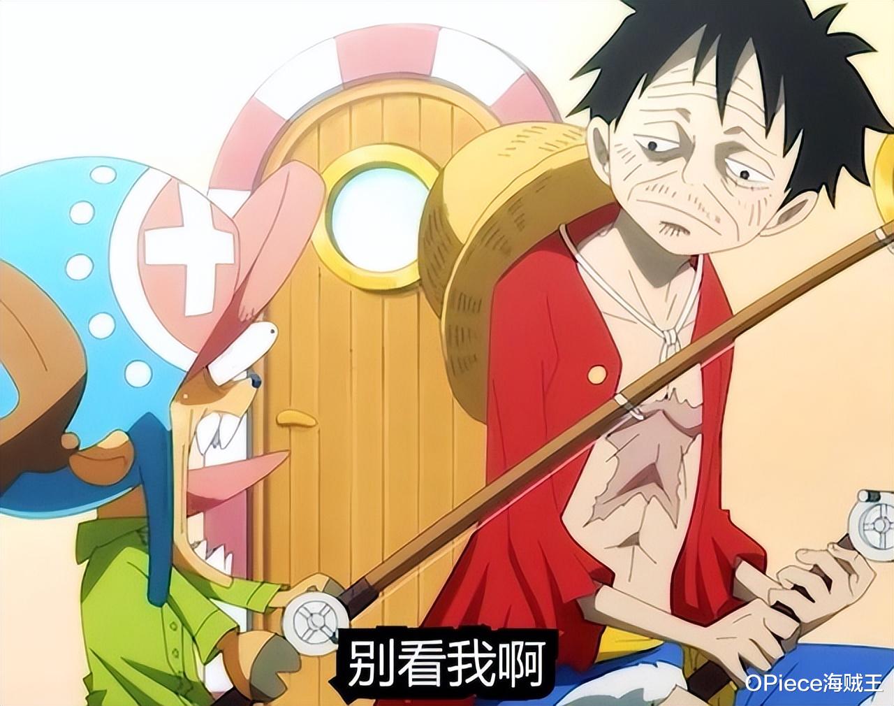 乔巴|海贼王中令海迷笑出腹肌的梗，应急储备粮食是乔巴