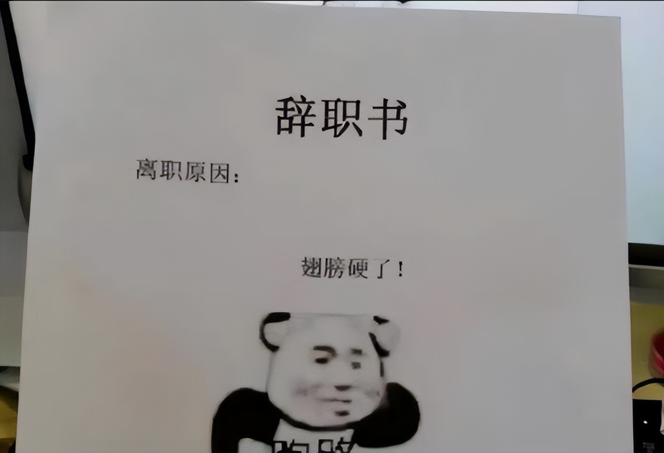 00后|00后大学生递上离职信:消化不了的“大饼”,领导留着自己吃吧
