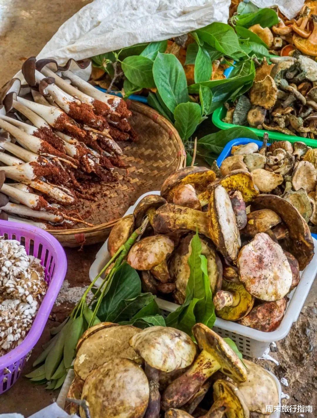 野生菌|刘亦菲新剧刷屏!均温20℃的神仙取景地,私藏“全国最毒”美味,吃过就上头!