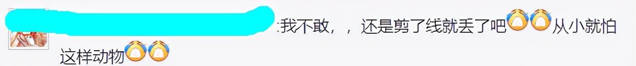 西江|广西男子半夜从西江钓起奇鱼，不敢捉就放生了，网友：错失500-今日头条