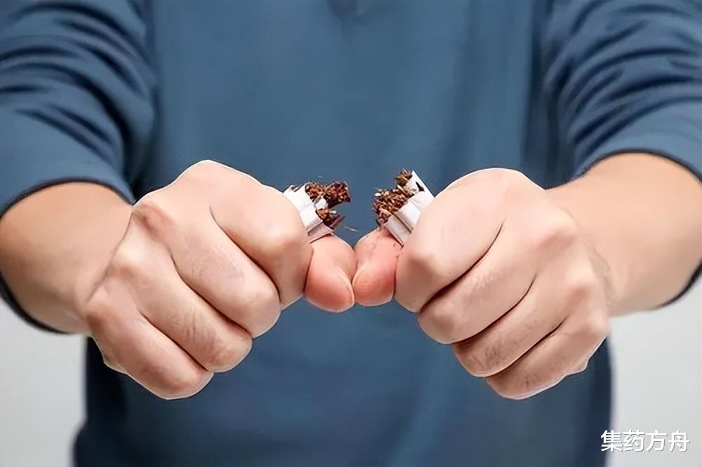 脾胃|【健康科普】年少白了头？生活中注意这些事，还你一头乌黑发！