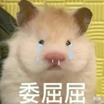 具惠善|继曲线女明星和爱新觉罗汪扯头花后，安宰贤和具惠善也舞起来了？