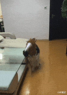 原来我梦寐以求的生活，在精神病院！网友：这路子有点野