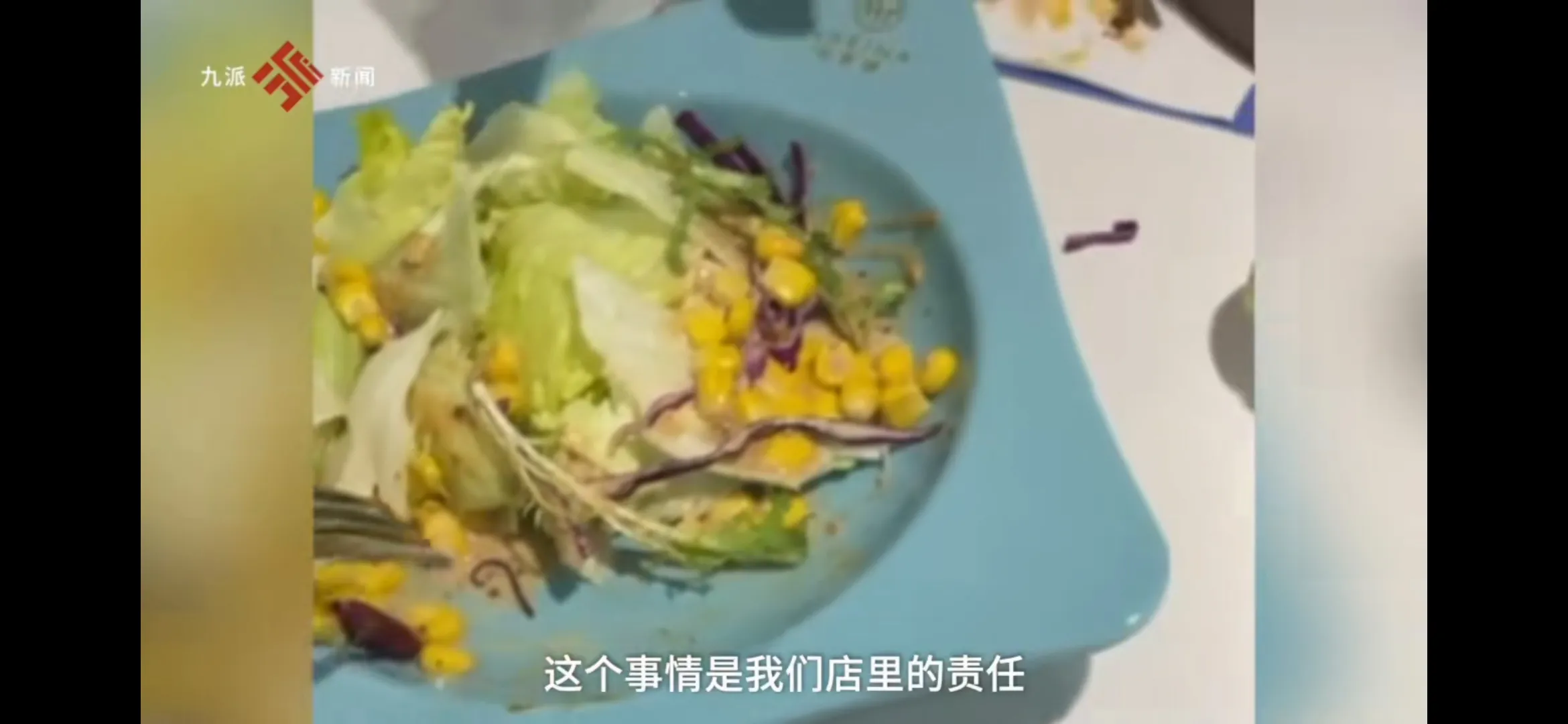 河北邯郸,一女子到某牛排店就餐,点了一份蔬菜沙拉。不料在吃的过程中,女子在沙拉中发现一条蚯蚓
