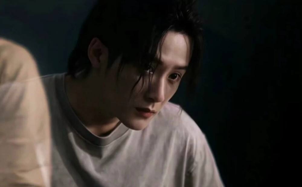 杨紫|为什么金星说他不能火？