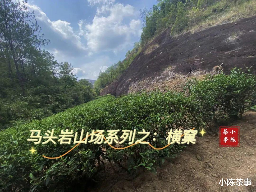 邮轮|开山坪、猫儿石、桃树窠，马头岩的山场究竟有哪几个？这是个谜团