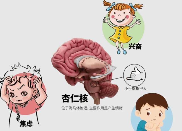 莫名其妙对“鸡”感到害怕?恐鸡症是一种自然现象,它并不可笑