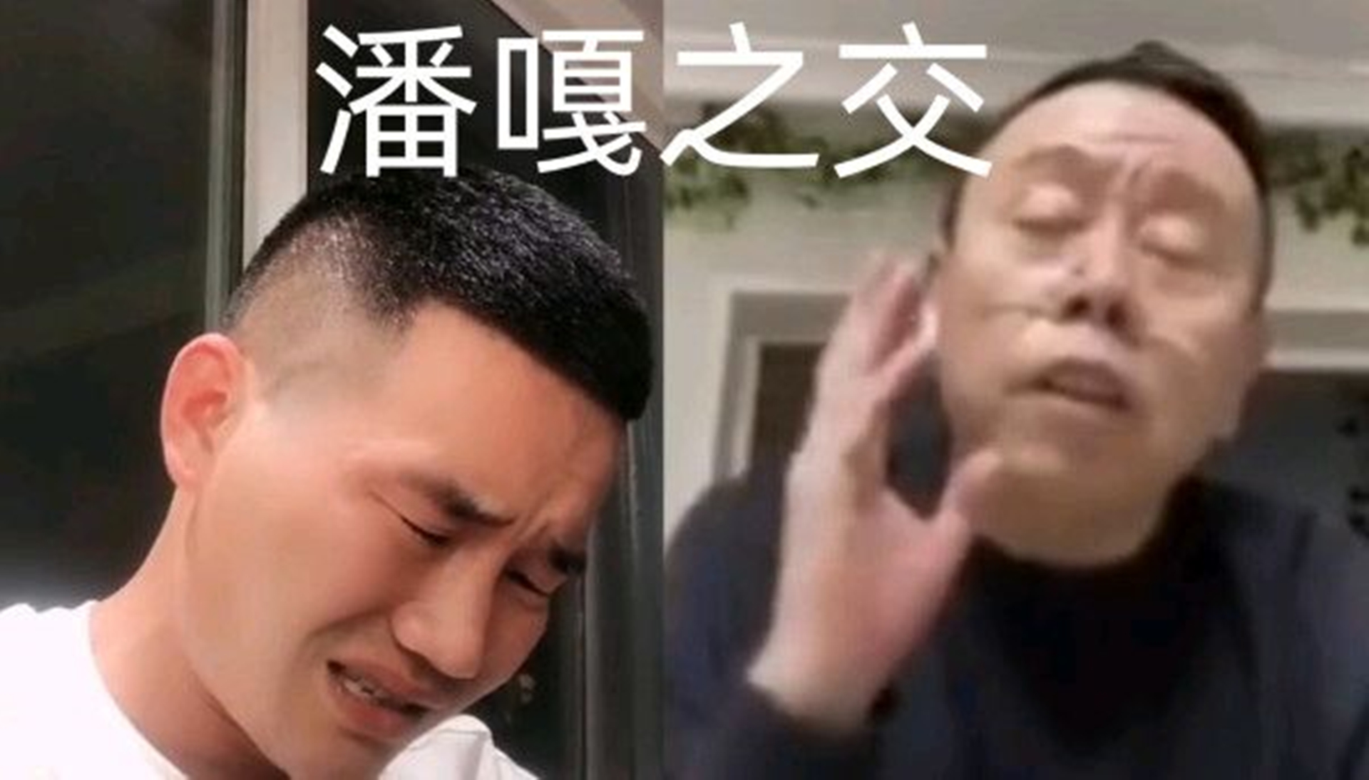 袁立|继“潘嘎之交”后，娱乐圈再添“新成语”，这回叫“高原反应”