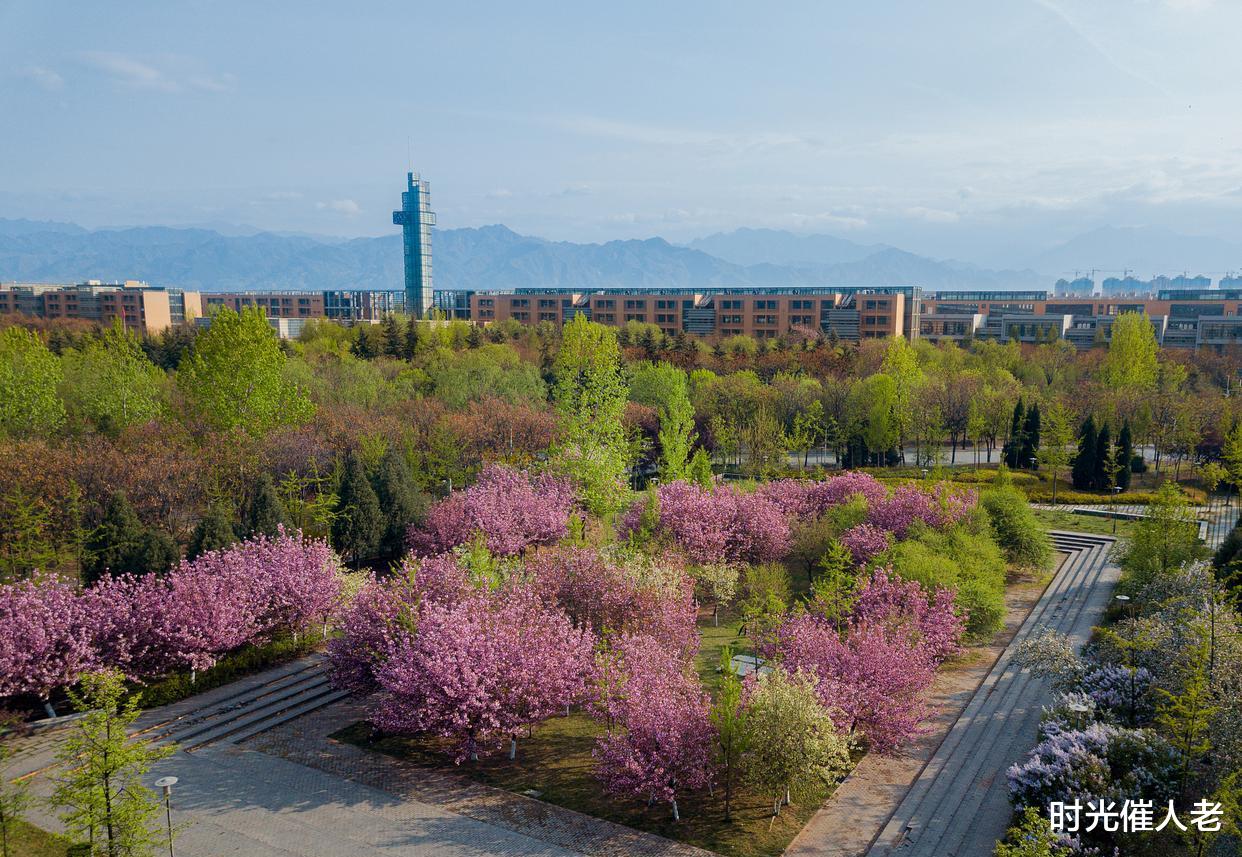 比亚迪|电子科技大学锂电方向硕士找工作去哪好，比亚迪、冠宇、四川时代