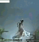 春晚|春晚经典舞蹈盘点，全在记忆深处难遗忘！哪一部让你最惊艳？