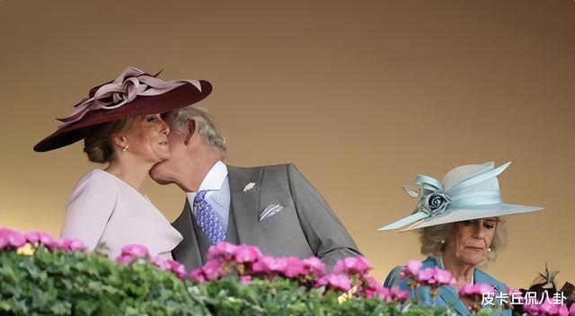 贴面礼|苏菲现身赛马会，和大伯哥贴面礼后谈笑风生，大嫂卡米拉面露不悦