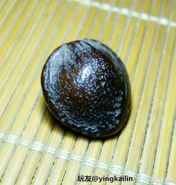 椰枣|不要随意扔啦！这种核分分钟盘出牛津红！