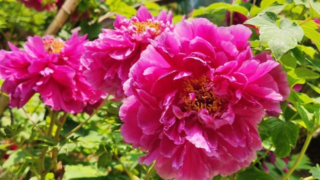 家庭生活中，有哪些不必要的花销可以省？