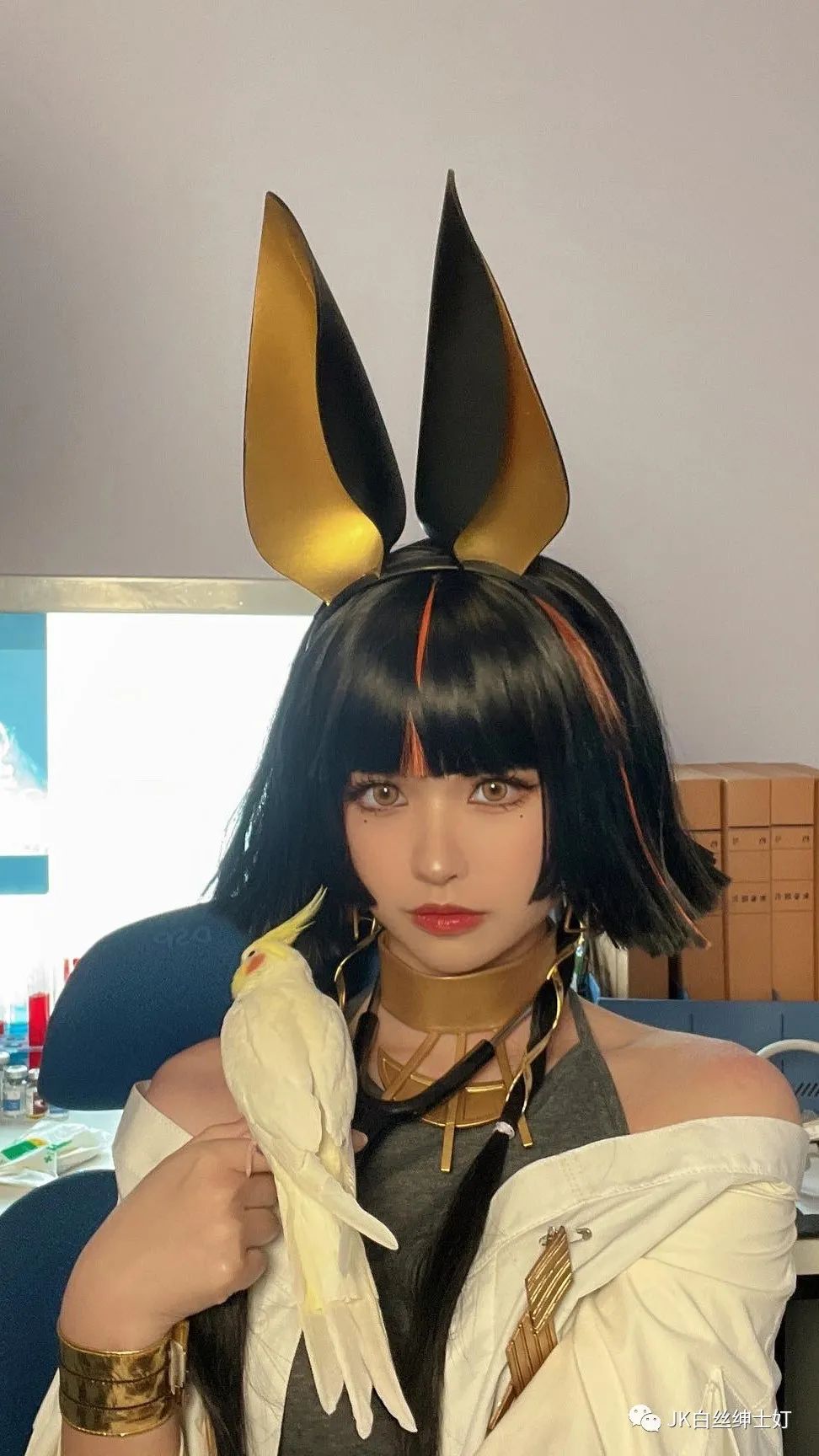 兽医|cos: 云图计划 伊姆赫特 一个完全长在我身上的黑皮小兽医