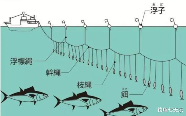 长江|一人甩下72枚鱼钩,长沙男子被公诉!在长江水域钓鱼不能再任性