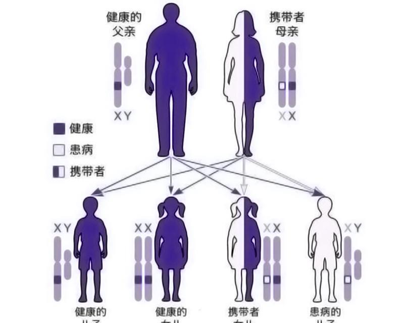 近亲繁殖有什么优缺点?有哪些近亲繁殖的例子?