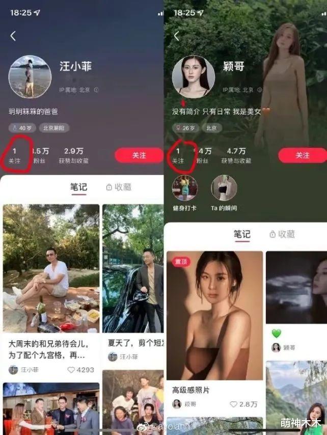 张新成|张兰发飙了!公开怒怼张颖颖是屎壳郎:要是好女人早就公开了